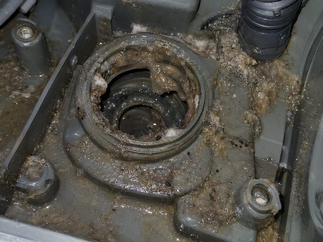 排水口まわりにこびりついたぬめり汚れ